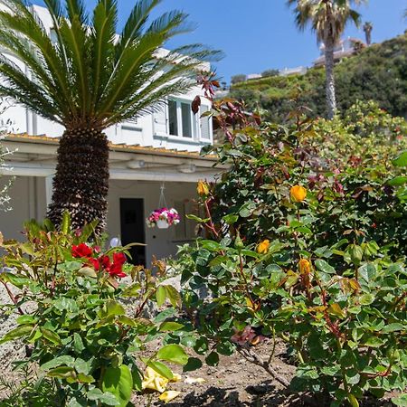 Forio di Ischia Villa Al Mare - Famiglia Calise المظهر الخارجي الصورة