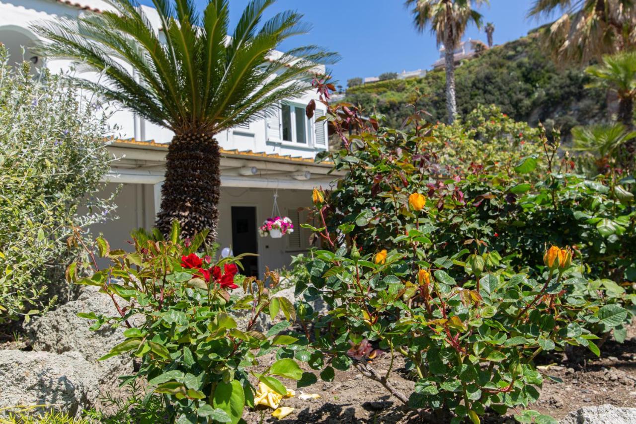 Forio di Ischia Villa Al Mare - Famiglia Calise المظهر الخارجي الصورة
