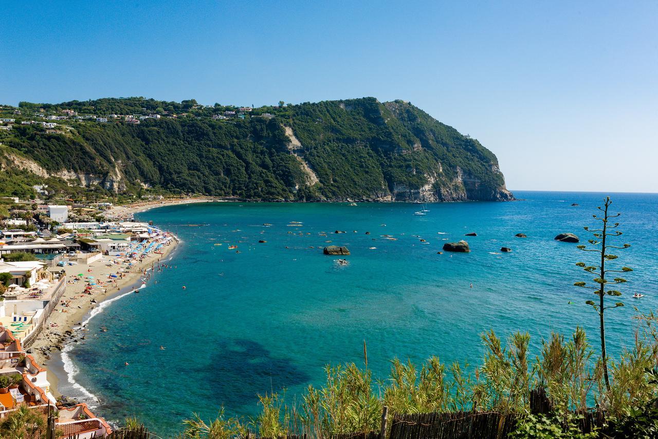 Forio di Ischia Villa Al Mare - Famiglia Calise المظهر الخارجي الصورة
