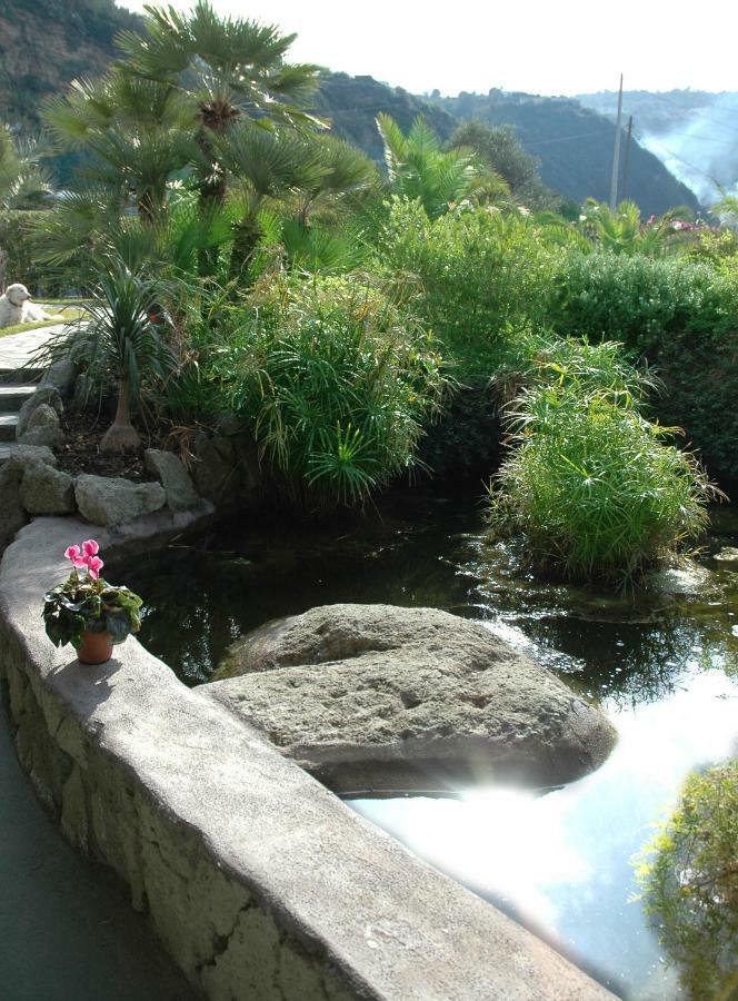 Forio di Ischia Villa Al Mare - Famiglia Calise المظهر الخارجي الصورة